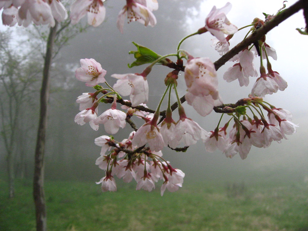 Hakone: A Slow Itinerary for Hakone, Japan — Hakone, Japan travel guide