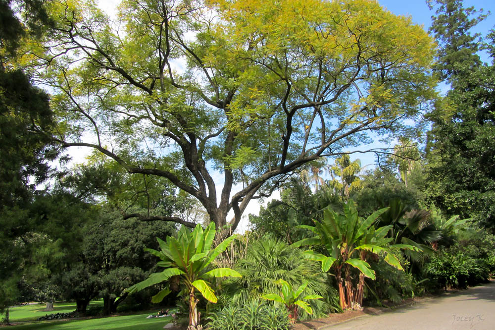 Adelaide: A Slow Itinerary for Adelaide, Australia — Adelaide, Australia travel guide