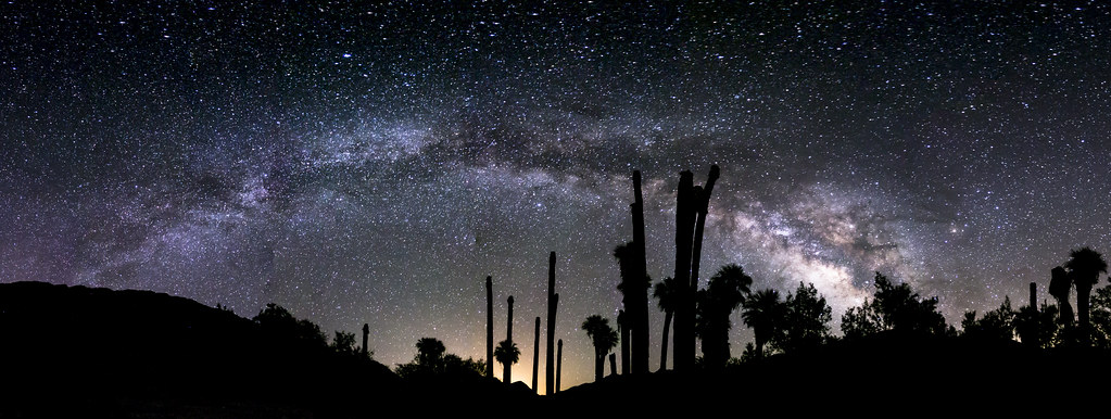 Palm Springs: A Slow Itinerary for Palm Springs, United States — Palm Springs, United States travel guide