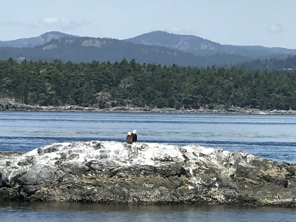 Victoria: A Slow Itinerary for Victoria, Canada — Victoria, Canada travel guide