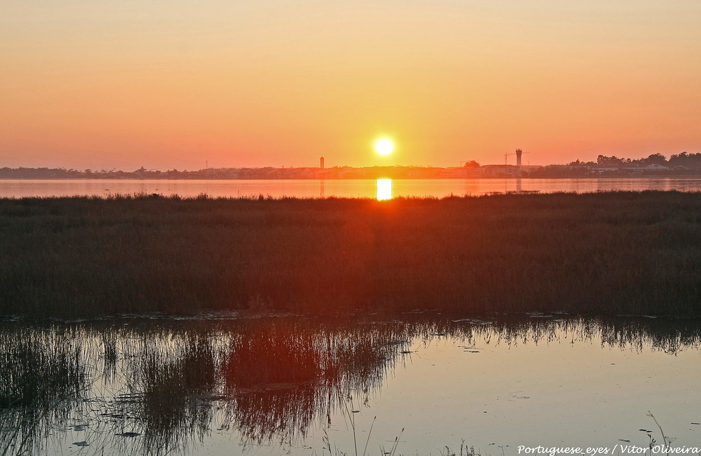 Aveiro: A Slow Itinerary for Aveiro, Portugal — Aveiro, Portugal travel guide