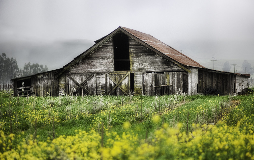 Napa Valley: A Slow Itinerary for Napa, United States — Napa, United States travel guide