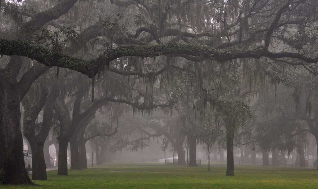 Savannah: A Slow Itinerary for Savannah, United States — Savannah, United States travel guide