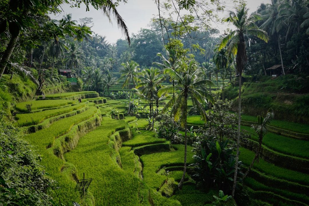 Travel Guide in Bali, Indonesia