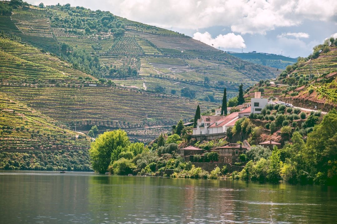 Terraced vineyards dropping to the Douro river in northern Portugal