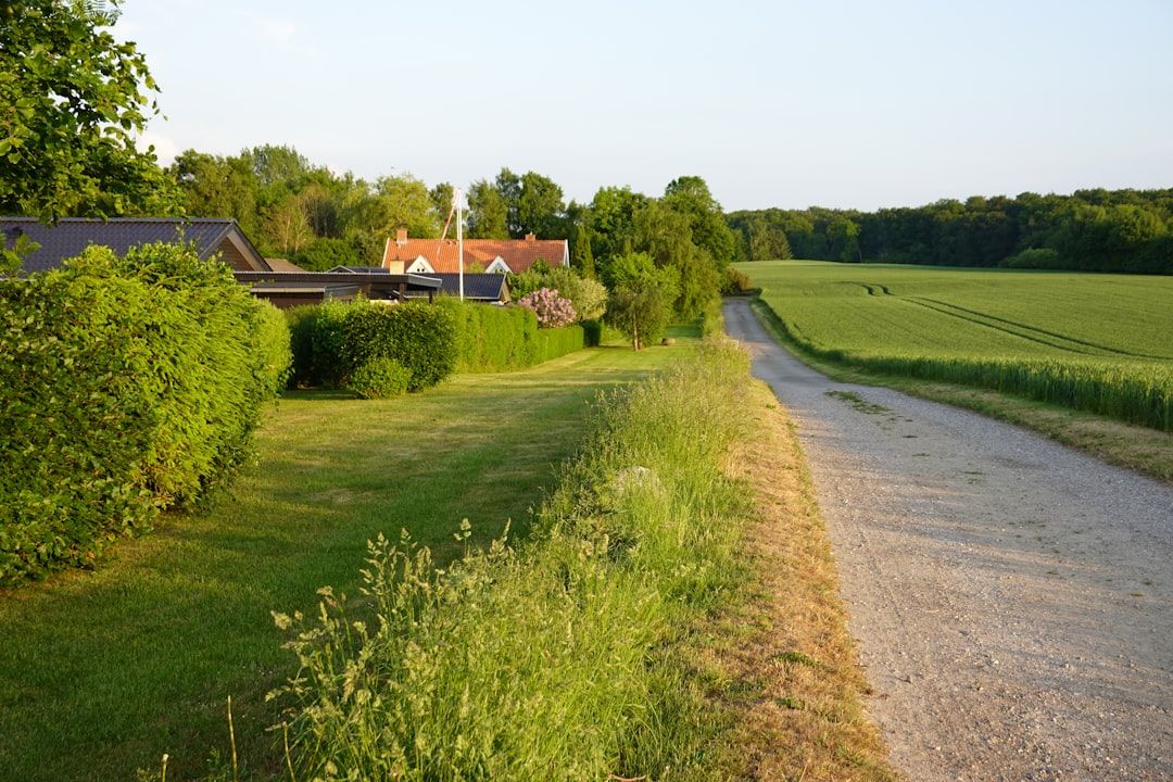 Denmark countryside nature landscape