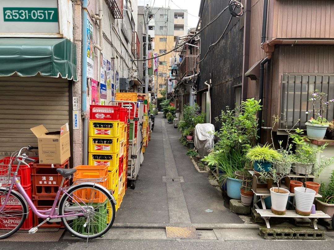 4. Cycle the Shimanami Kaido in Tokyo