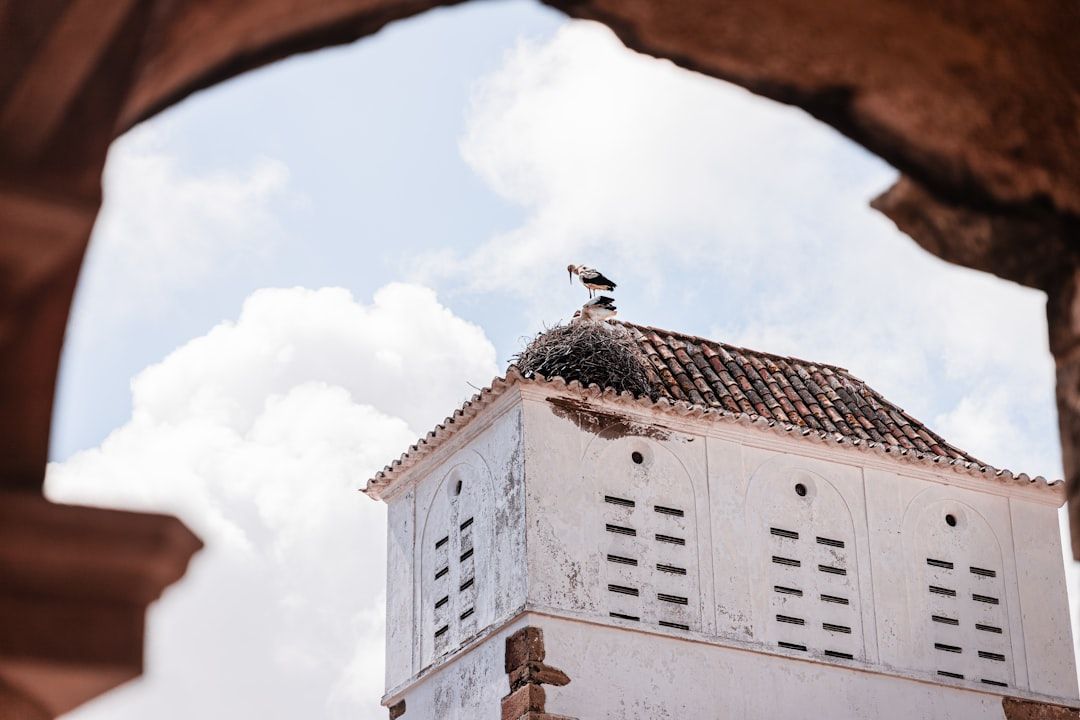 The West: Sagres and the End of Europe in Faro