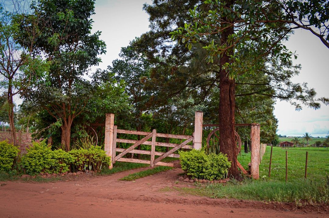 Brazil countryside nature landscape