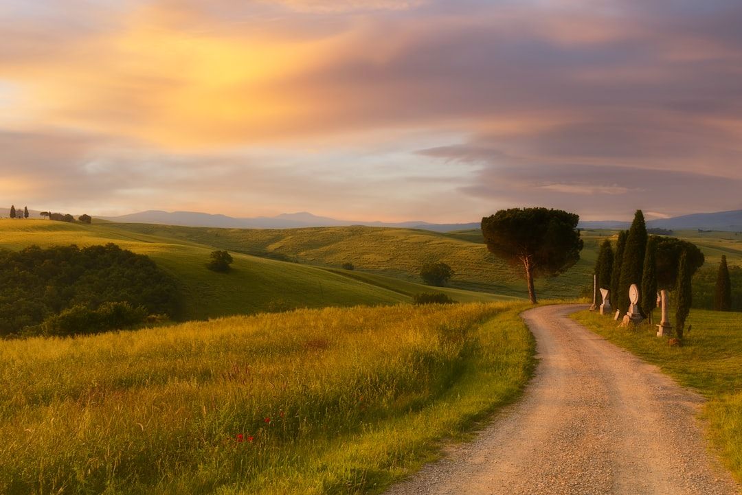Italy countryside nature landscape